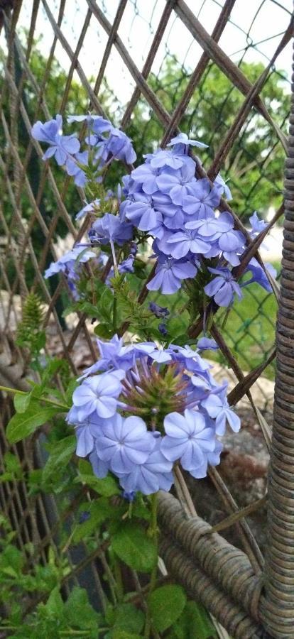Kanálion Elizabeth'S Paradise מראה חיצוני תמונה